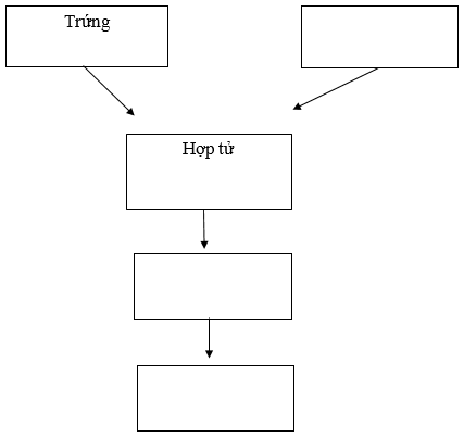 Vở bài tập Khoa học lớp 5 Bài 15: Sự sinh sản của động vật | Chân trời sáng tạo 