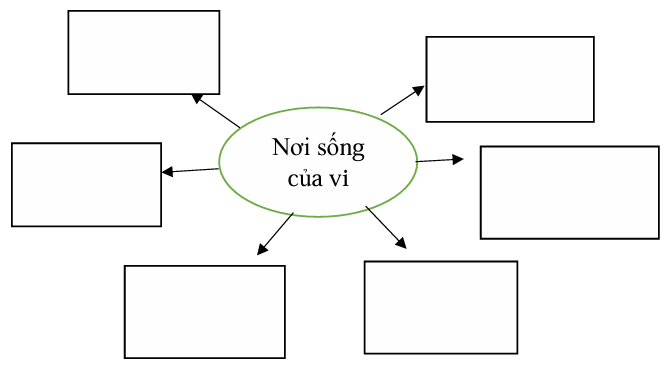 Vở bài tập Khoa học lớp 5 Bài 18: Vi khuẩn quanh ta | Chân trời sáng tạo 