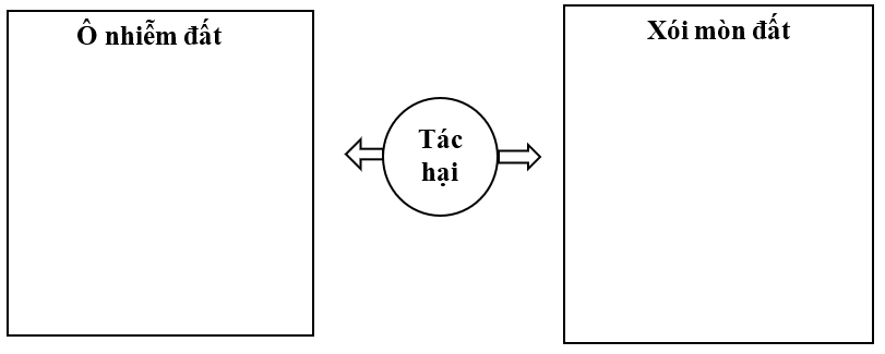 Vở bài tập Khoa học lớp 5 Bài 2: Ô nhiễm, xói mòn đất và bảo vệ môi trường đất | Chân trời sáng tạo 