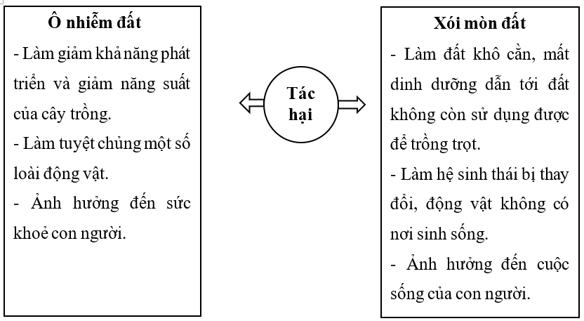 Vở bài tập Khoa học lớp 5 Bài 2: Ô nhiễm, xói mòn đất và bảo vệ môi trường đất | Chân trời sáng tạo 