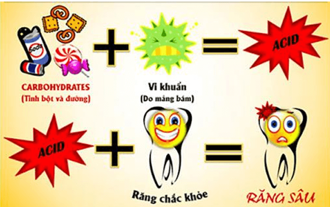 Vở bài tập Khoa học lớp 5 Bài 21: Ôn tập chủ đề Vi khuẩn | Chân trời sáng tạo 