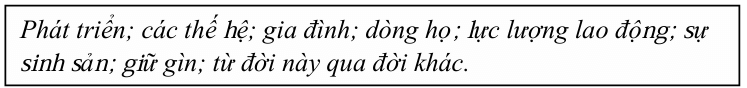 Vở bài tập Khoa học lớp 5 Bài 23: Sự sinh sản ở người | Chân trời sáng tạo 