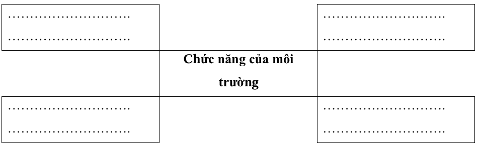 Vở bài tập Khoa học lớp 5 Bài 28: Chức năng của môi trường | Chân trời sáng tạo 