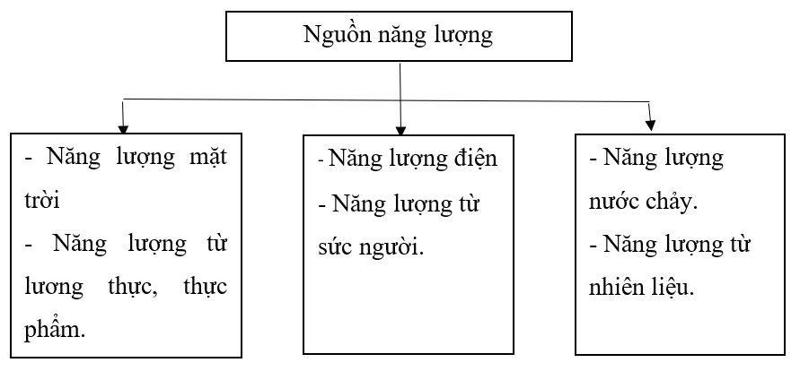 Vở bài tập Khoa học lớp 5 Bài 6: Năng lượng và vai trò của năng lượng | Chân trời sáng tạo 