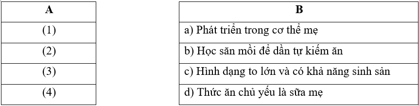 Vở bài tập Khoa học lớp 5 Bài 16: Vòng đời và sự phát triển của động vật | Kết nối tri thức