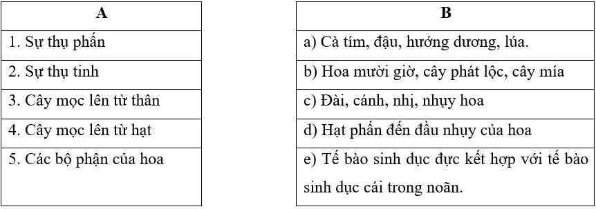 Vở bài tập Khoa học lớp 5 Bài 17: Ôn tập chủ đề Thực vật và động vật | Kết nối tri thức