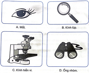 Vở bài tập Khoa học lớp 5 Bài 18: Vi khuẩn xung quanh chúng ta | Kết nối tri thức