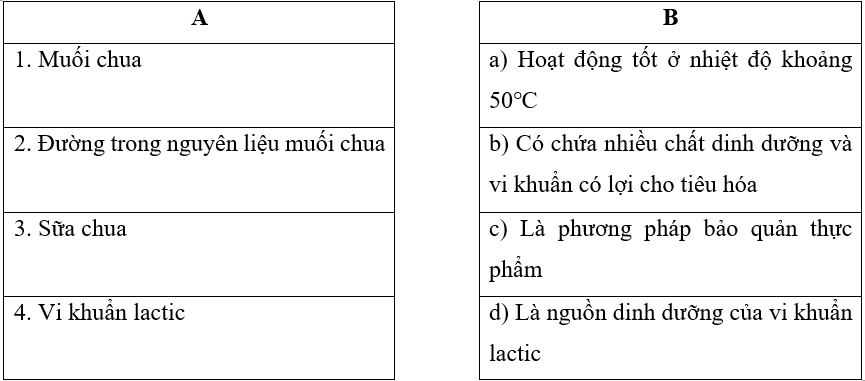 Vở bài tập Khoa học lớp 5 Bài 19: Vi khuẩn có ích trong chế biến thực phẩm | Kết nối tri thức