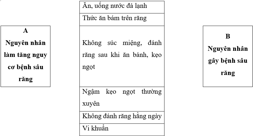 Vở bài tập Khoa học lớp 5 Bài 20: Vi khuẩn gây bệnh ở người và cách phòng tránh | Kết nối tri thức