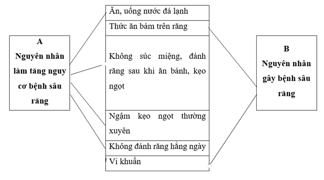 Vở bài tập Khoa học lớp 5 Bài 20: Vi khuẩn gây bệnh ở người và cách phòng tránh | Kết nối tri thức