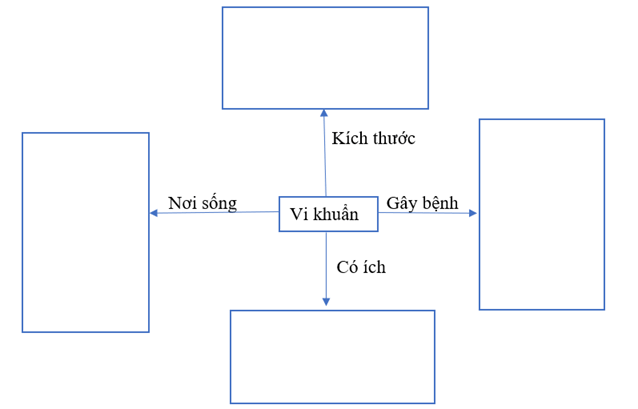 Vở bài tập Khoa học lớp 5 Bài 21: Ôn tập chủ đề Vi khuẩn | Kết nối tri thức