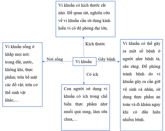 Vở bài tập Khoa học lớp 5 Bài 21: Ôn tập chủ đề Vi khuẩn | Kết nối tri thức