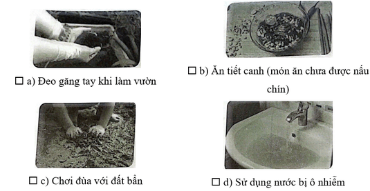 Vở bài tập Khoa học lớp 5 Bài 21: Ôn tập chủ đề Vi khuẩn | Kết nối tri thức