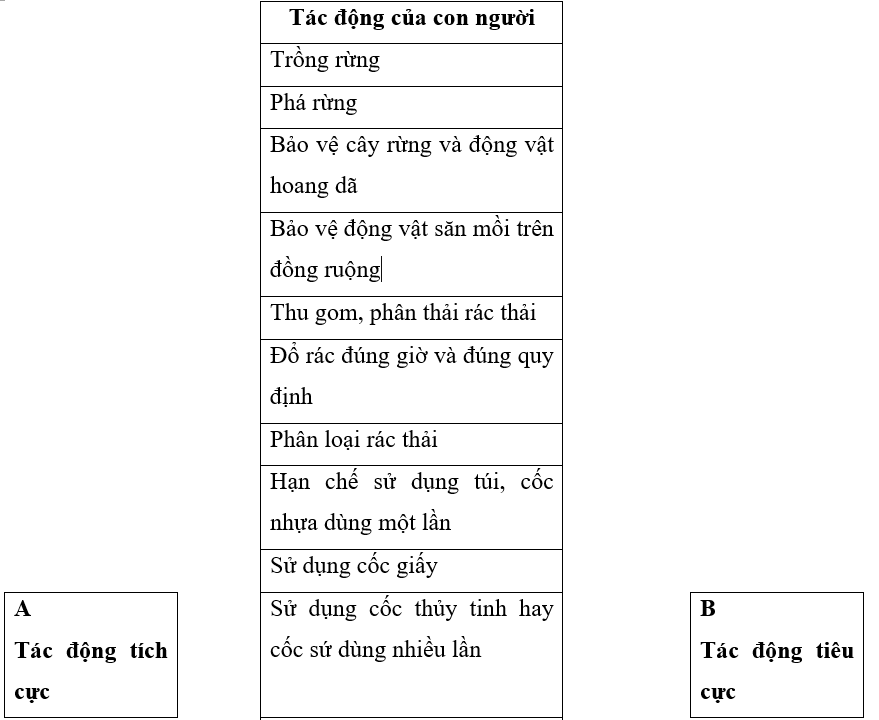 Vở bài tập Khoa học lớp 5 Bài 29: Tác động của con người và một số biện pháp bảo vệ môi trường | Kết nối tri thức