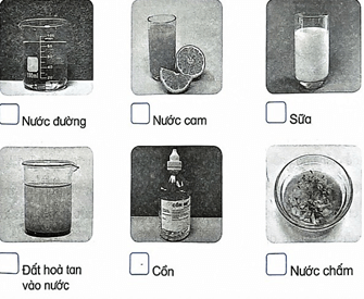 Vở bài tập Khoa học lớp 5 Bài 3: Hỗn hợp và dung dịch | Kết nối tri thức