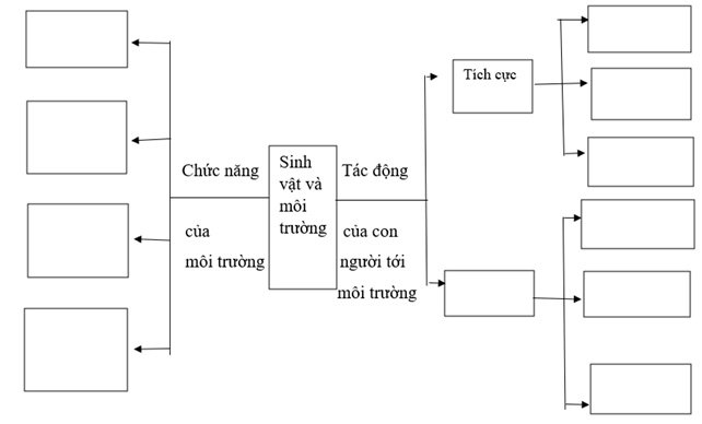 Vở bài tập Khoa học lớp 5 Bài 30: Ôn tập chủ đề Sinh vật và môi trường | Kết nối tri thức