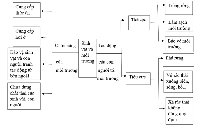 Vở bài tập Khoa học lớp 5 Bài 30: Ôn tập chủ đề Sinh vật và môi trường | Kết nối tri thức