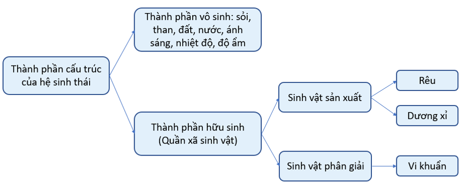 Thiết kế mô hình hệ sinh thái từ các nguyên vật liệu dễ kiếm