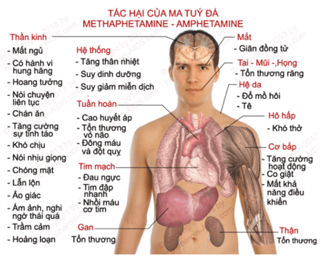 Thiết kế tờ rơi bài trình bày để tuyên truyền cho mọi người tác hại