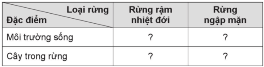 Vở bài tập Lịch Sử và Địa Lí lớp 5 Bài 2: Thiên nhiên Việt Nam | Cánh diều