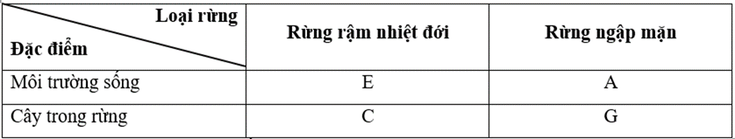 Vở bài tập Lịch Sử và Địa Lí lớp 5 Bài 2: Thiên nhiên Việt Nam | Cánh diều