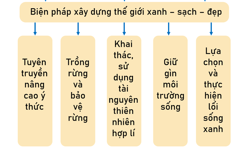 Vở bài tập Lịch Sử và Địa Lí lớp 5 Ôn tập học kì II | Cánh diều