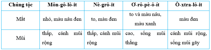 Vở bài tập Lịch Sử và Địa Lí lớp 5 Kết nối tri thức Bài 23: Dân số và các chủng tộc chính trên thế giới