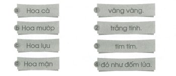 Vở bài tập Tiếng Việt lớp 1 trang 47, 48, 49 Chủ điểm 6: Thiên nhiên | Cánh diều