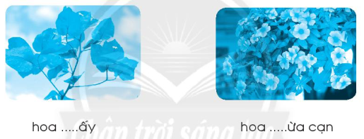 Giải Vở bài tập Tiếng Việt lớp 1 trang 5, 6, 7 Chủ đề 19: Ngàn hoa khoe sắc - Chân trời sáng tạo