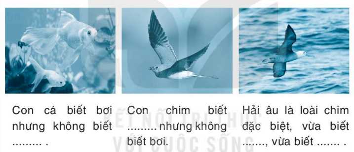 Vở bài tập Tiếng Việt lớp 1 trang 44, 45 Loài chim của biển cả | Kết nối tri thức