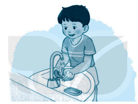 Vở bài tập Tiếng Việt lớp 1 trang 29, 30 Rửa tay trước khi ăn | Kết nối tri thức