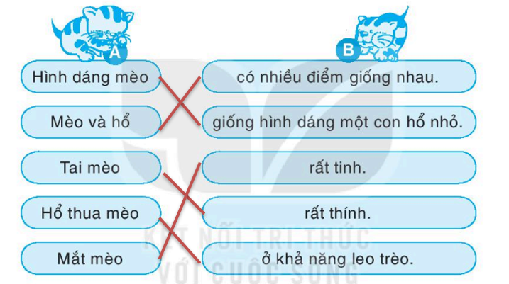 Vở bài tập Tiếng Việt lớp 1 trang 47, 48 Chúa tể rừng xanh | Kết nối tri thức