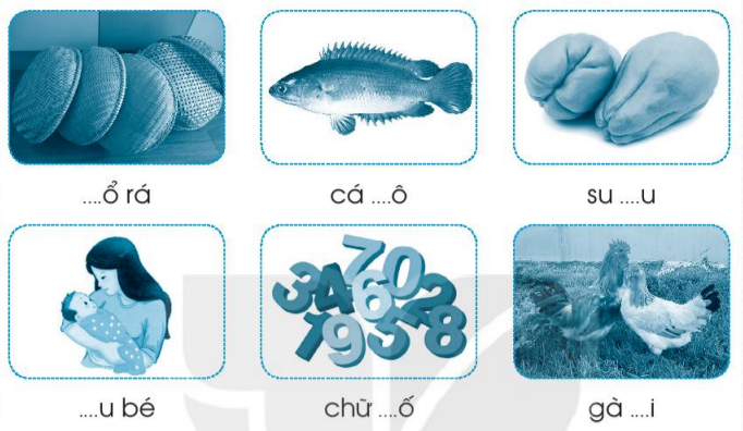 Vở bài tập Tiếng Việt lớp 1 Tập 1 trang 21 Bài 21: R, r, S, s