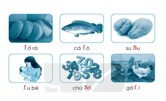 Vở bài tập Tiếng Việt lớp 1 Tập 1 trang 21 Bài 21: R, r, S, s