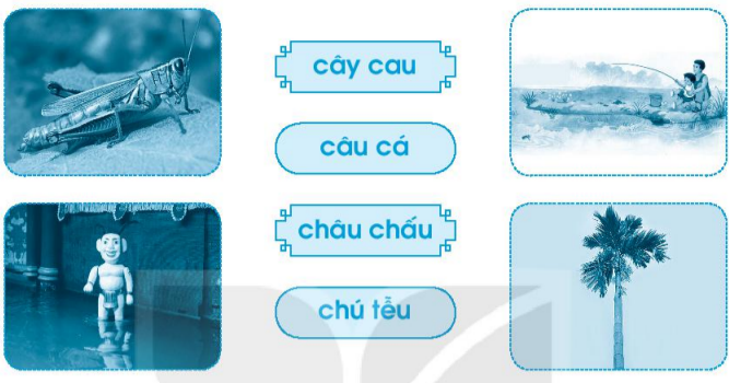 Vở bài tập Tiếng Việt lớp 1 Tập 1 trang 40 Bài 43: au, âu, êu