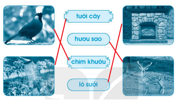 Vở bài tập Tiếng Việt lớp 1 Tập 1 trang 61 Bài 69: ươi, ươu