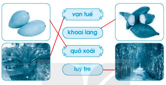 Vở bài tập Tiếng Việt lớp 1 Tập 1 trang 67 Bài 77: oai, uê, uy