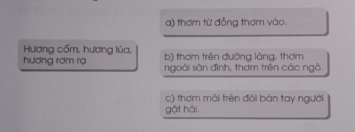 Vở bài tập Tiếng Việt lớp 3 Tập 2 trang 14, 15 Đọc hiểu: Hương làng | Cánh diều