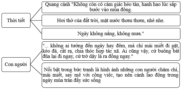 Quang cảnh làng mạc ngày mùa trang 4, 5 Vở bài tập Tiếng Việt lớp 5 Cánh diều Tập 2