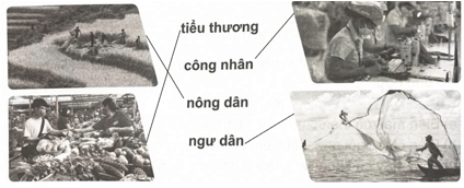 Chia sẻ trang 52 Vở bài tập Tiếng Việt lớp 5 Cánh diều Tập 1