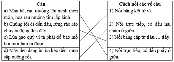 Luyện tập về cách nối các vế câu ghép trang 21, 22 Vở bài tập Tiếng Việt lớp 5 Cánh diều Tập 2