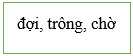 Vở bài tập Tiếng Việt lớp 5 Bài 5: Ông Trạng Nồi | Chân trời sáng tạo