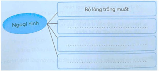 Vở bài tập Tiếng Việt lớp 5 Bài 29: Phim hoạt hình Chú ốc sên bay | Kết nối tri thức