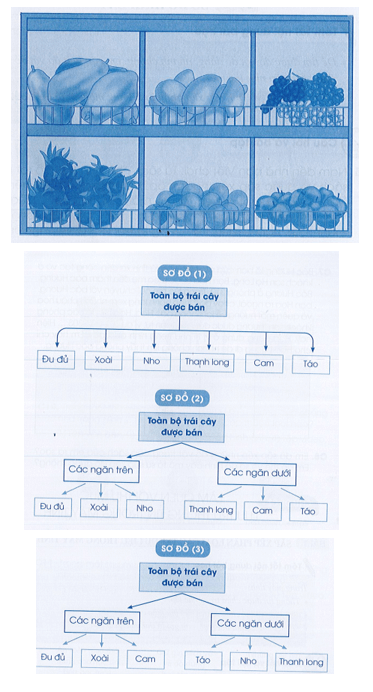 Vở bài tập Tin học lớp 3 trang 35, 36, 37, 38 Bài 2: Sơ đồ hình cây | Cánh diều
