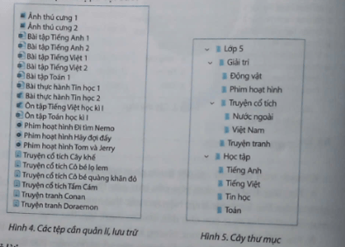 Vở bài tập Tin học lớp 5 Bài 4: Tổ chức, lưu trữ và tìm tệp, thư mục trong máy tính | Chân trời sáng tạo