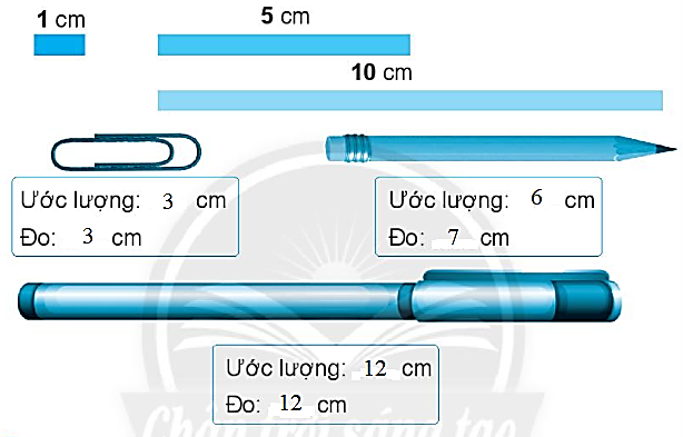 Giải vở bài tập Toán lớp 2 Tập 2 trang 81 Thực hành và trải nghiệm: Ước lượng và đo độ dài - Chân trời sáng tạo