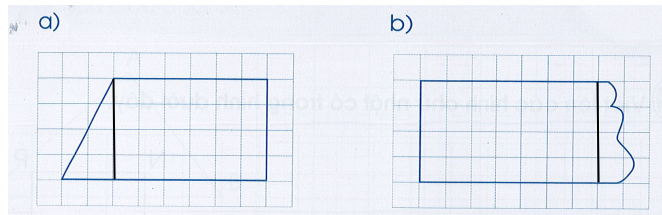 Vở bài tập Toán lớp 3 Tập 1 trang 101, 102 Hình chữ nhật | Cánh diều