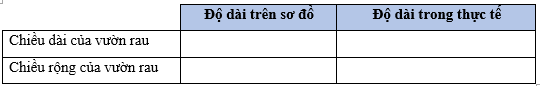 Vở bài tập Toán lớp 5 Bài 46: Luyện tập chung | Cánh diều