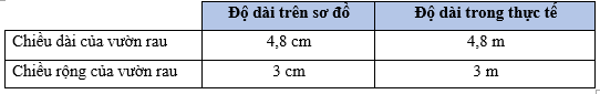 Vở bài tập Toán lớp 5 Bài 46: Luyện tập chung | Cánh diều