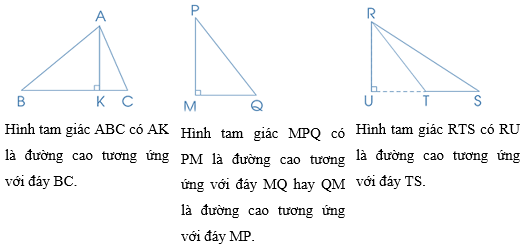 Vở bài tập Toán lớp 5 Bài 50: Hình tam giác | Cánh diều